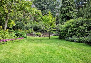Optimiser l'expérience du jardin à Pomps